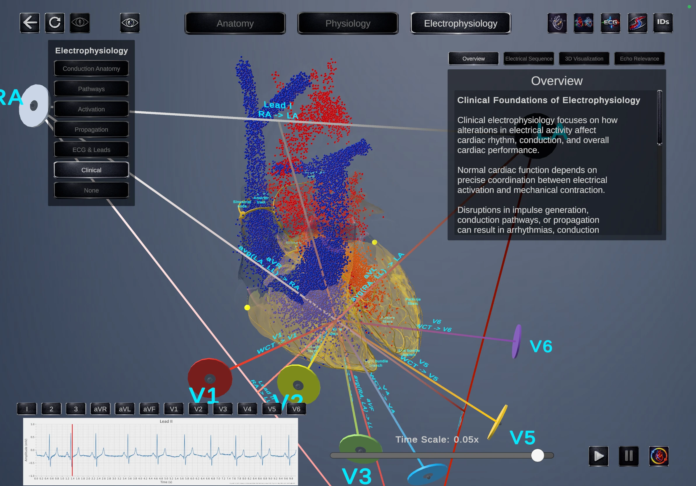 Echo Simulator electrophysiology module
