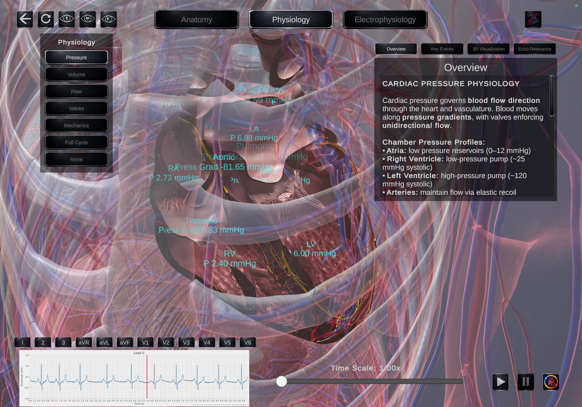 Echo Simulator physiology module